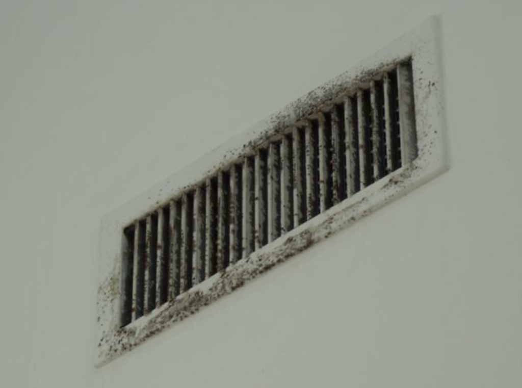 moldy air vent